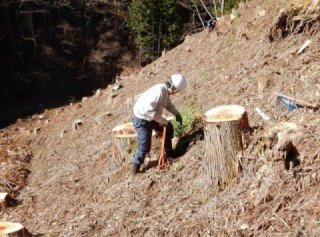 林業と山村地域の活性化に貢献